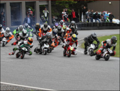 �|�P�o�C���[�X