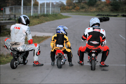 �e�q�Ń|�P�o�C